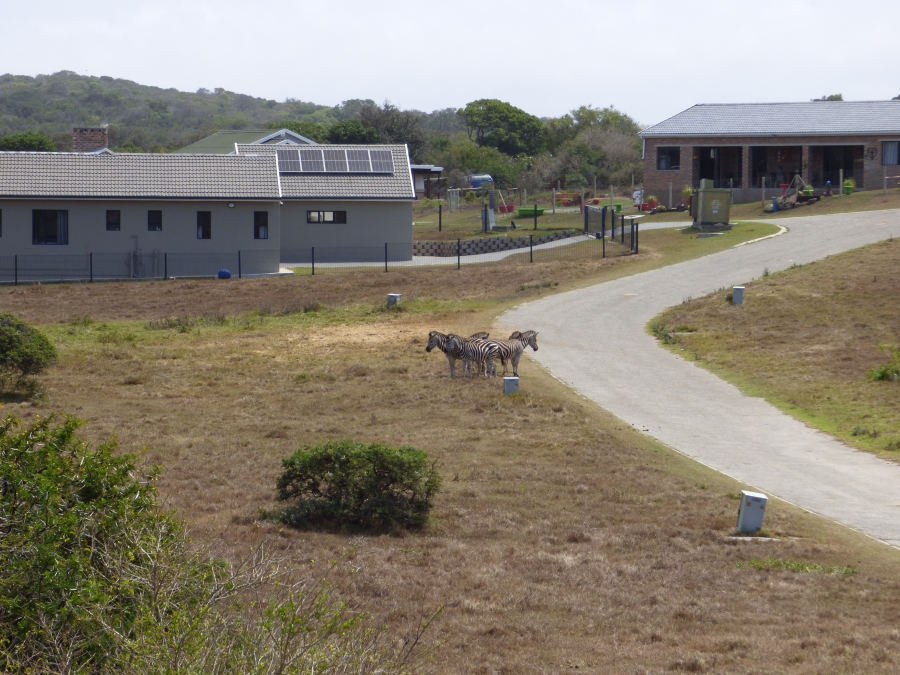 3 Bedroom Property for Sale in Boesmansriviermond Eastern Cape